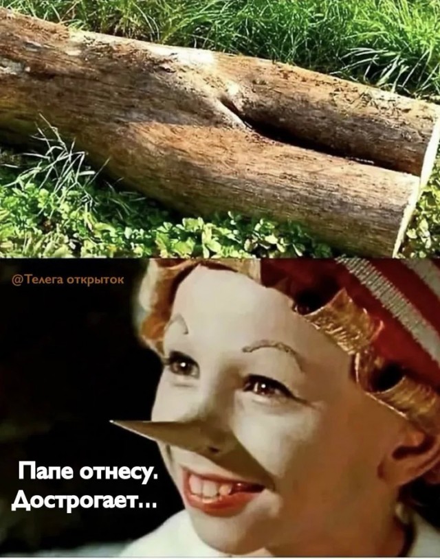 Картинки для деградации 245 (разной степени свежести)