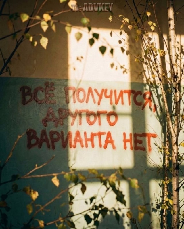 Прикольные и просто красивые картинки 25.09.2026