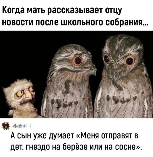 Так себе картинки 09.10.26