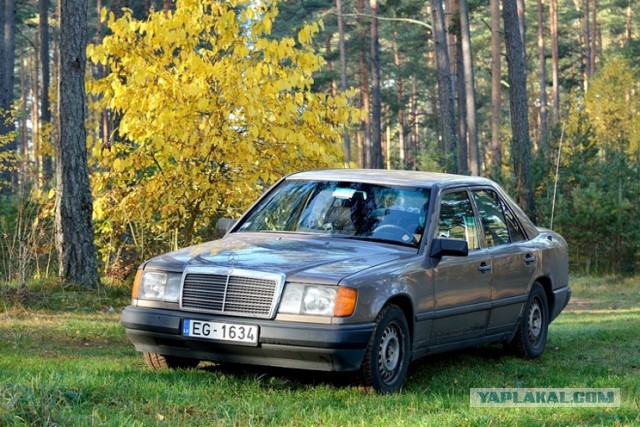 Покупка автомобиля за $300: сумасшествие ?