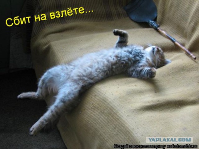 Кто ты, ЯП