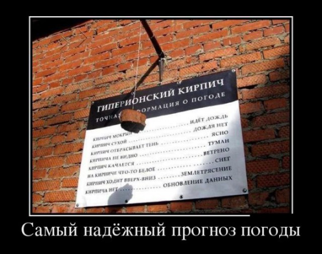 Демотиваторы.
