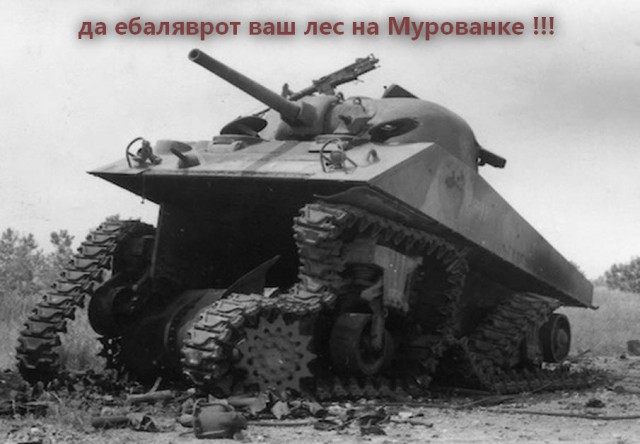 Wargaming 13