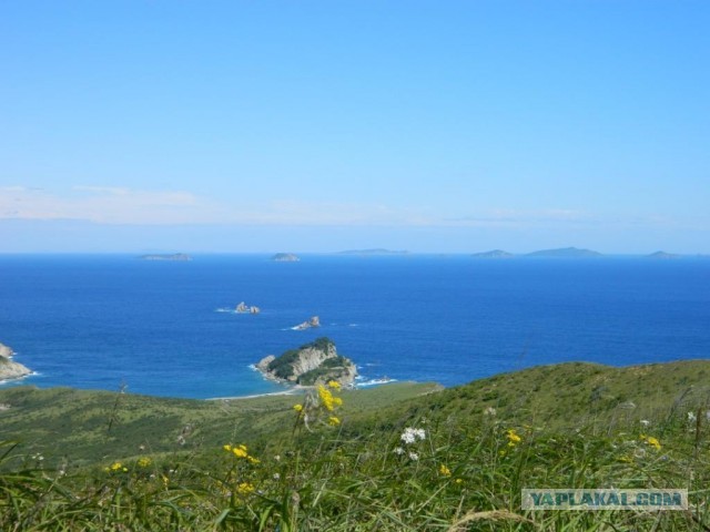 Бухта Теляковского