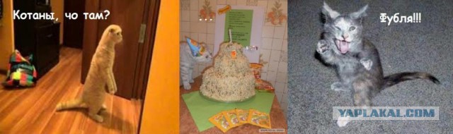 Лапшичная преисподняя