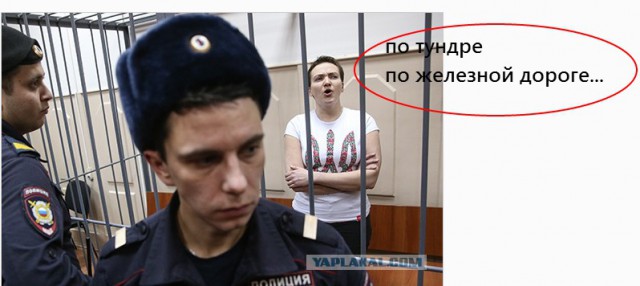 Против Савченко возбудили новое