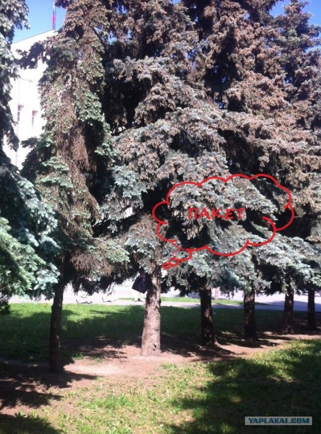 Вот такая полиция...