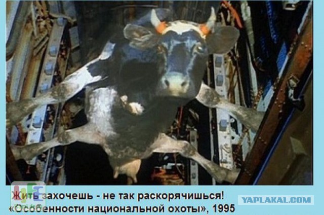 Уверен, многим этот вопрос не давал покоя
