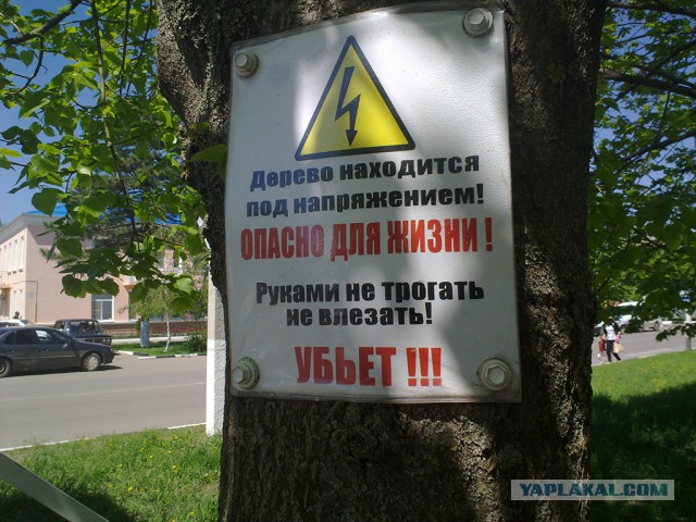 Прикольные картинки из сети