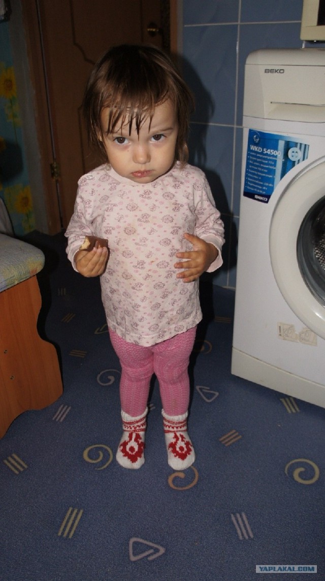 Куртка для ярых поклонников Assassin’s Creed