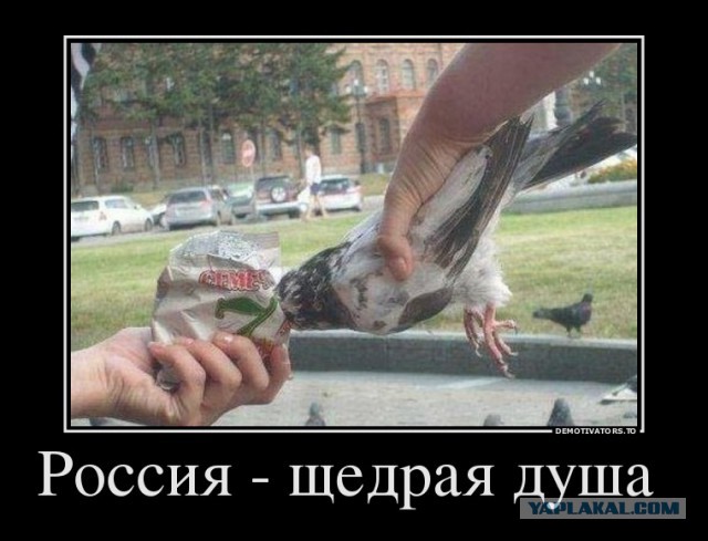 Подборка картинок из соцсетей