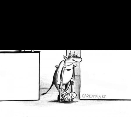 Женская логика