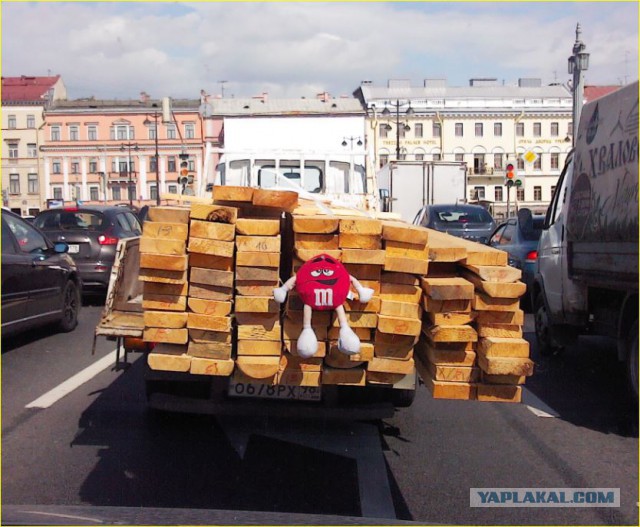 Картинки