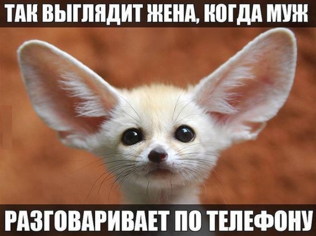 Картинки на пятницу