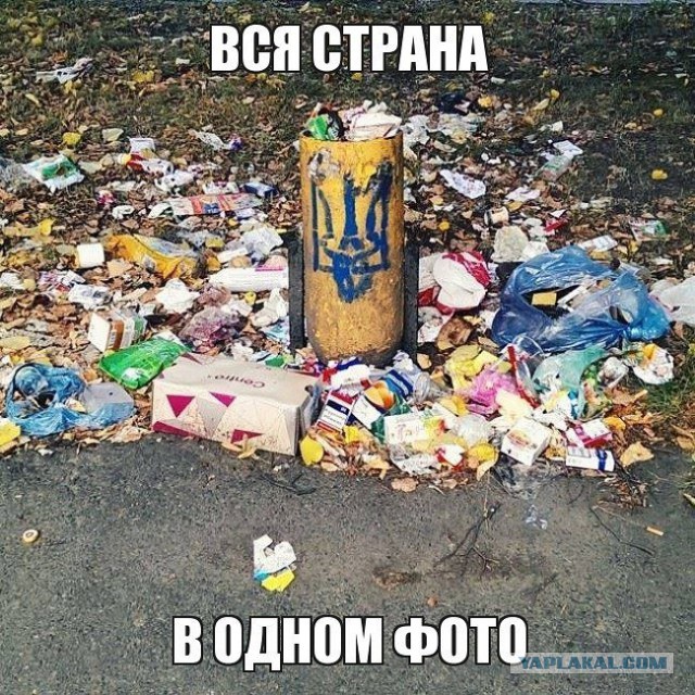 10 политических картинок часть 18