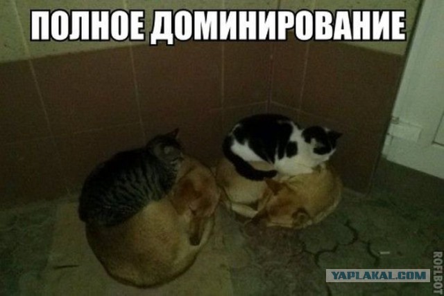 Разные картинки