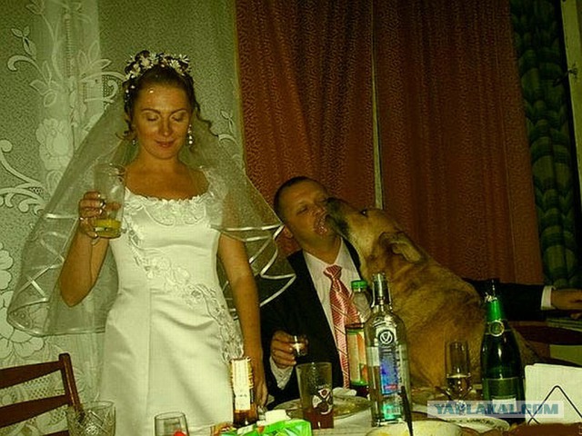 Весело "испорченные" кем-то свадебные фотографии