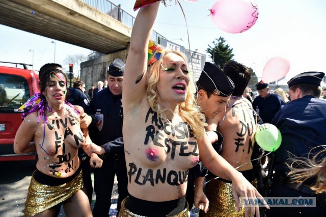 Подборка интересных и веселых картинок