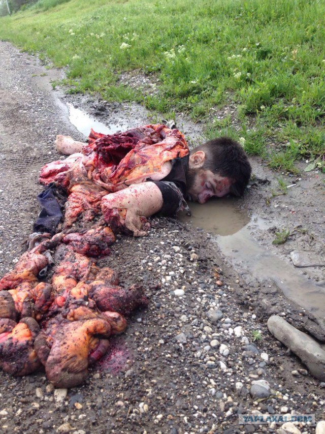 Пострадавшие в результате взрыва на КПП в Чечне полицейские предотвратили проезд смертников в город