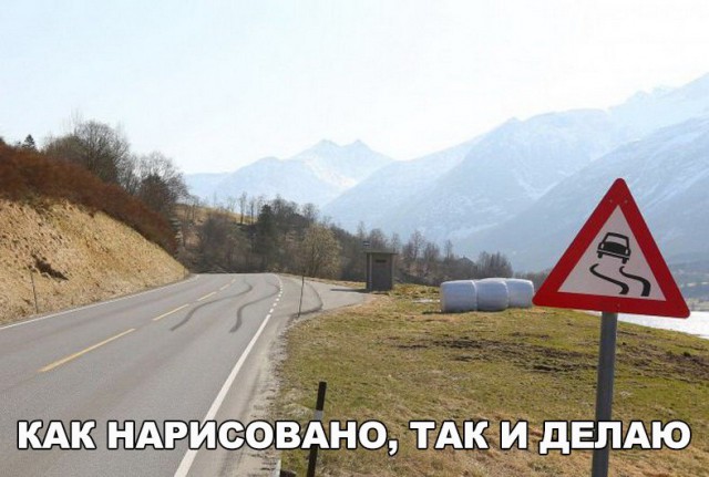 Картинки и приколы из сети