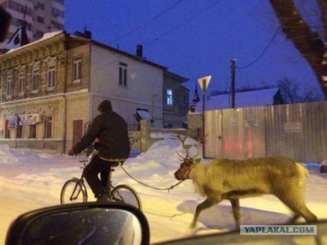 Фото-коктейль...