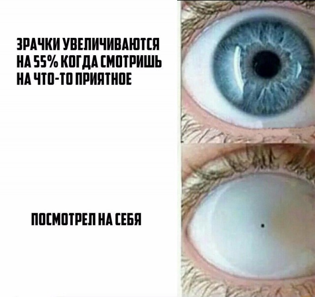 Подборка безудержного веселья