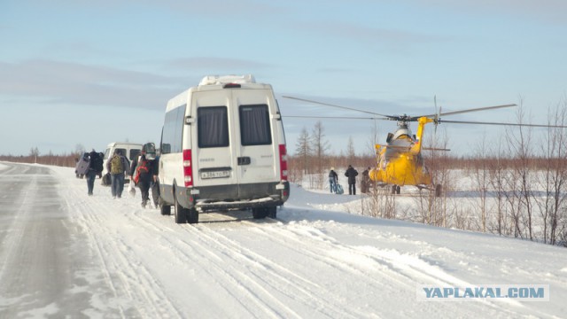 Новый Уренгой-Надым, покатушки  в выходные на День Оленевода