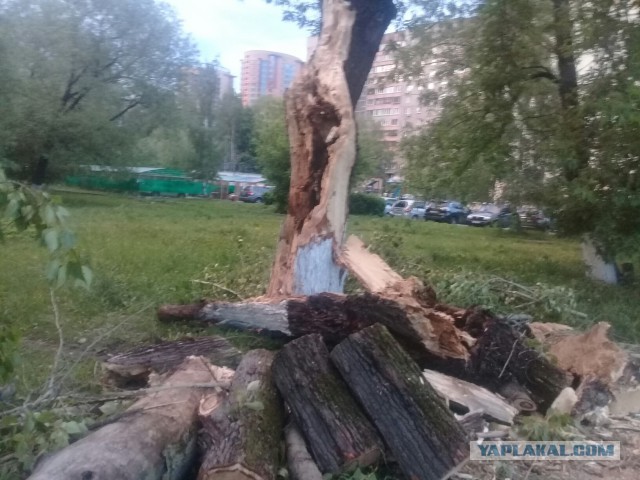 В Москве ураган!