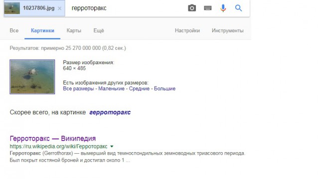 Подборка интересных и веселых картинок