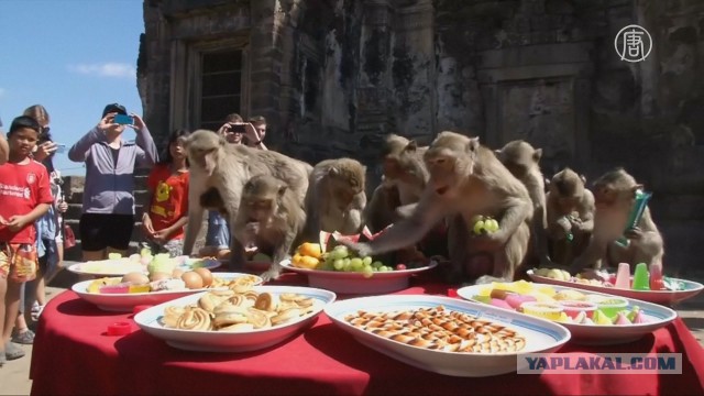 Итальянцы пробуют русские заготовки на зиму