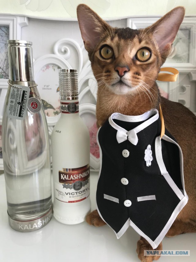 Заценим подарки?) Хвастайтесь))