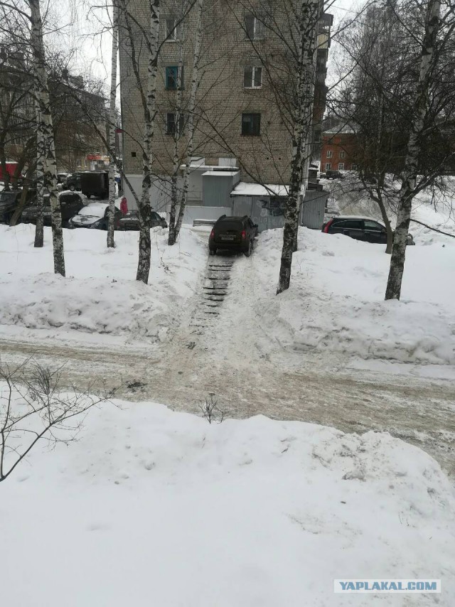 Из жизни идиотов