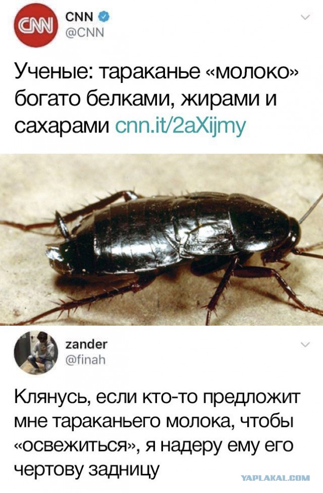 Всякое, из этих ваших интернетов