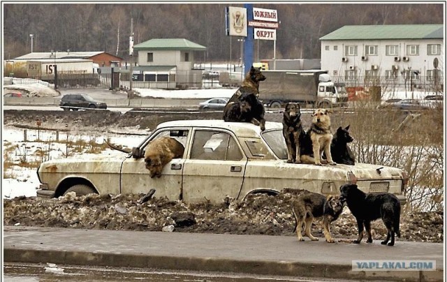 Застряли?