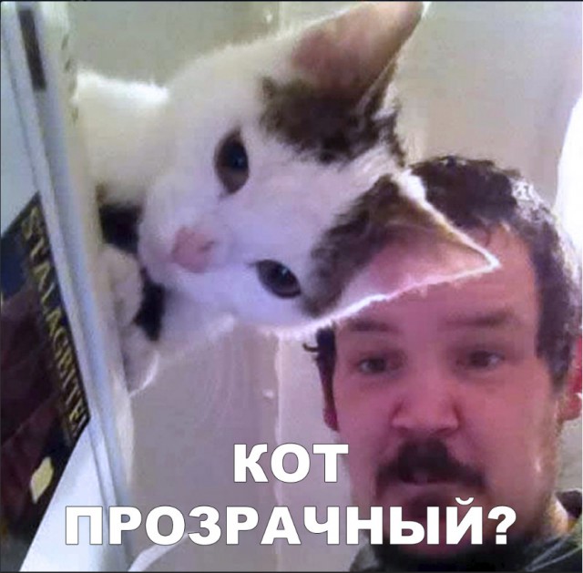 Немного милоты