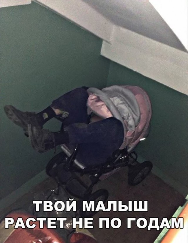 Лента прикольных картинок