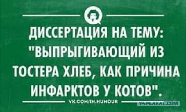 Прикольные комментарии и высказывания из Сети