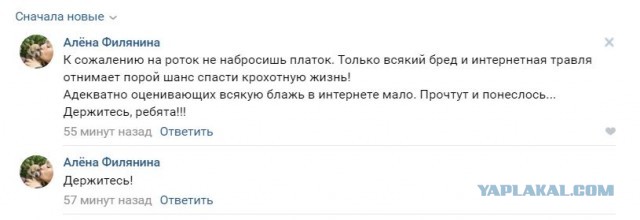 Помогите вернуть кота! Приют "Преданное сердце" украл кота и не отдает!-2
