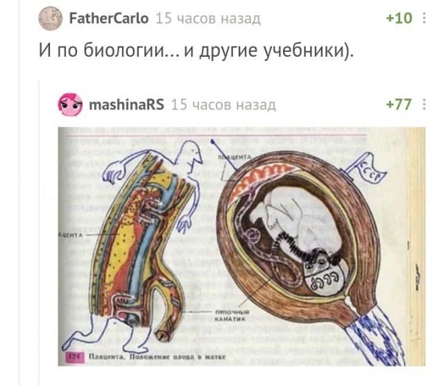 Учебник и скучающий ученик