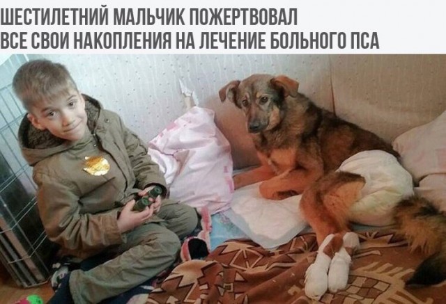 Чуток картинок 13.06.20