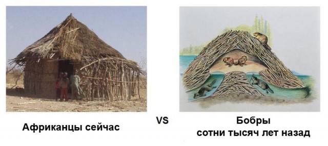 Почему африканцы не создали развитой цивилизации? Неужели во всём виноват цвет кожи?