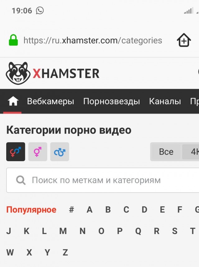 Москвичи оказались главными поклонниками гей-порно в России
