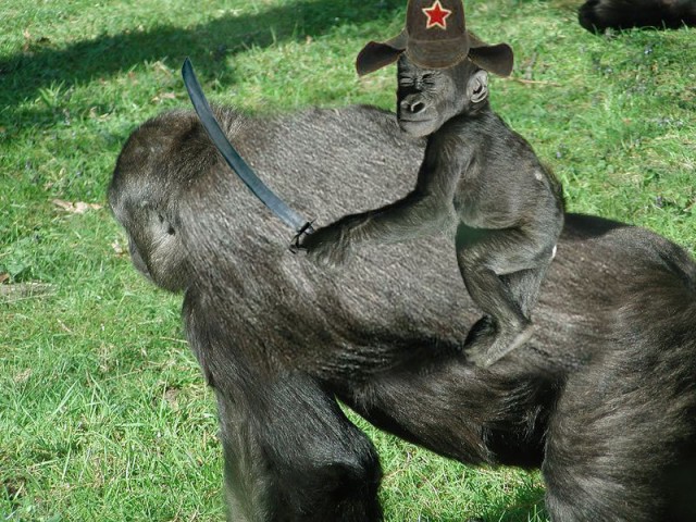 После зарплаты.Фотожаба
