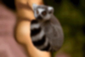 Сижу вот,отдыхаю
