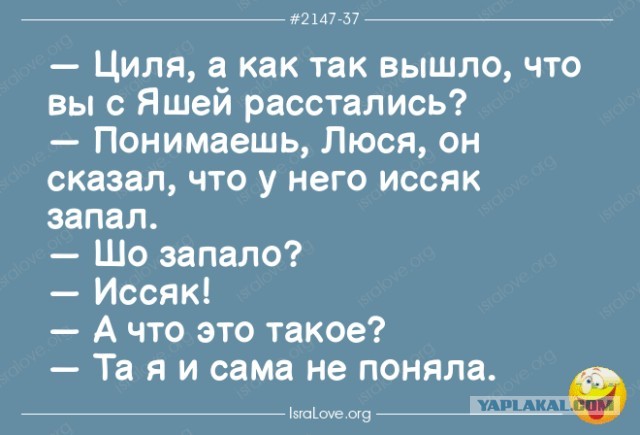 Фотки и картинки: юморные и красивые, забавные и милые 28.10.20