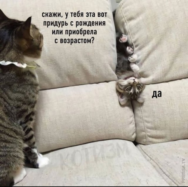 Картинки и мемы для настроения 024