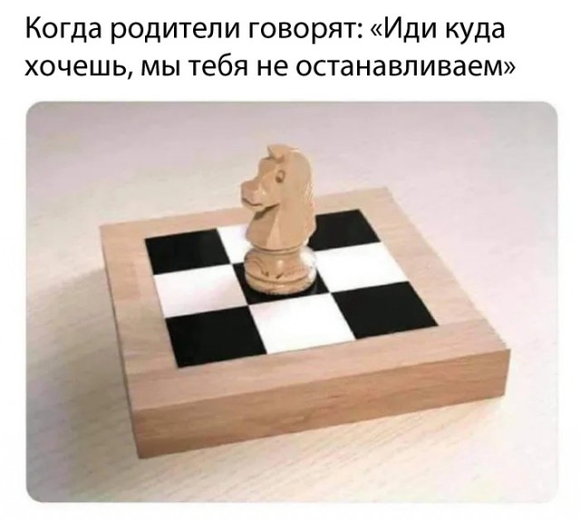 Весёлый полтишок 17.03