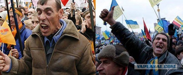На Украине назвали «ударом» отказ США от санкций против «Северного потока-2»
