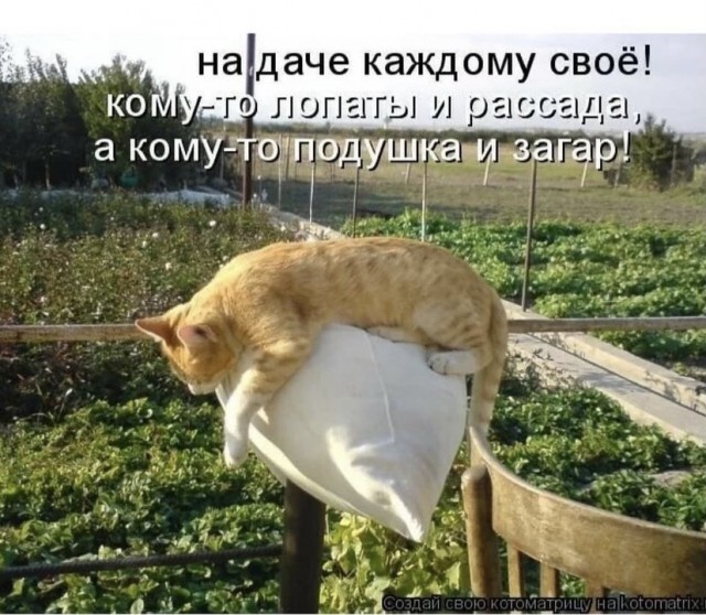 Весёлый полтишок 2.07