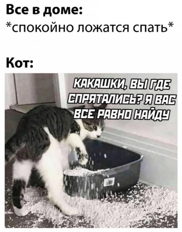 Всякие разные картинки 019